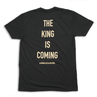 CAMISETA MANGA CORTA EMBAJADOR